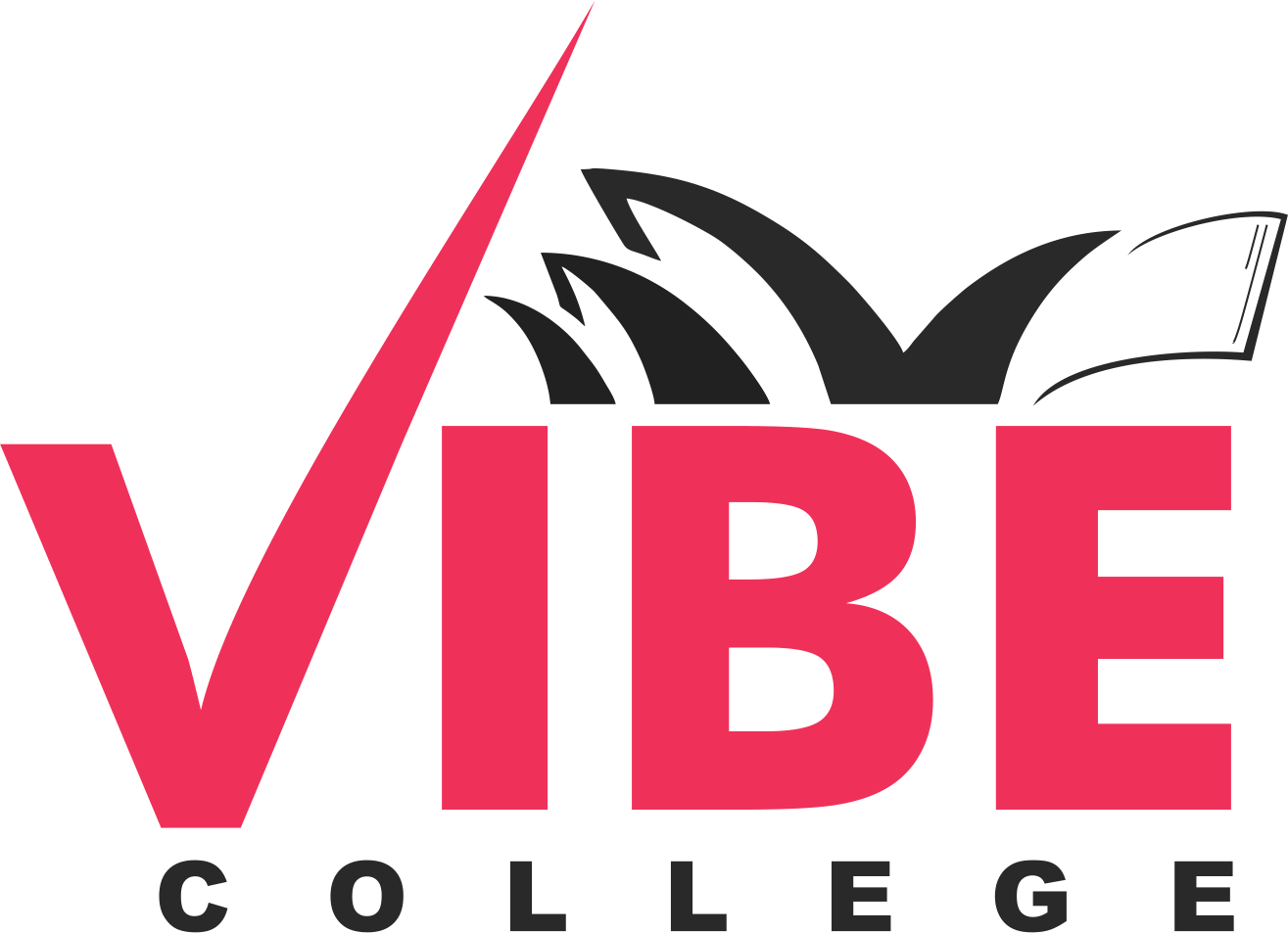 Vibe College